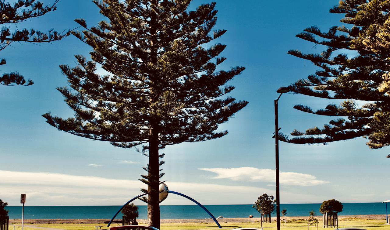 The Nautilus Hotel Napier Luaran gambar View of the beach from the foreshore