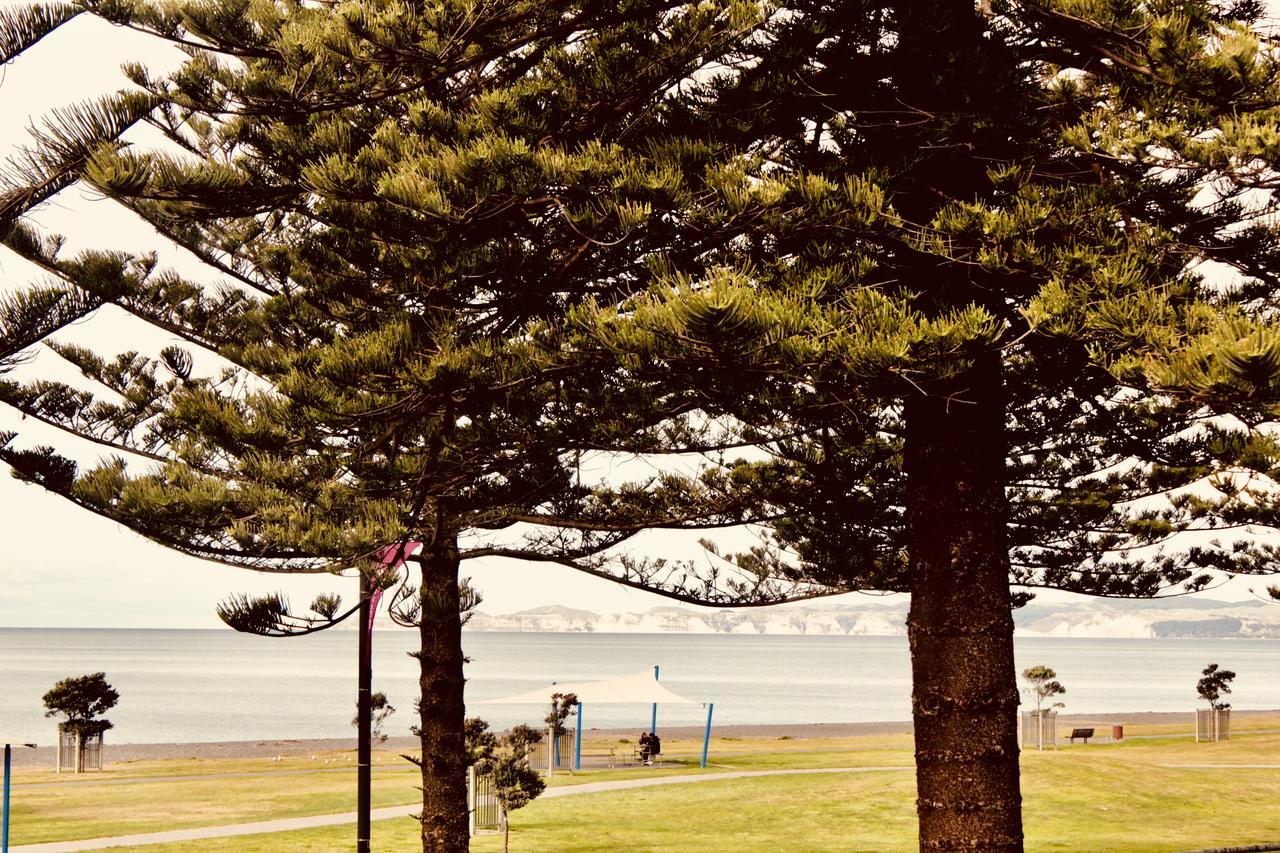 The Nautilus Hotel Napier Luaran gambar View of the bay from the foreshore