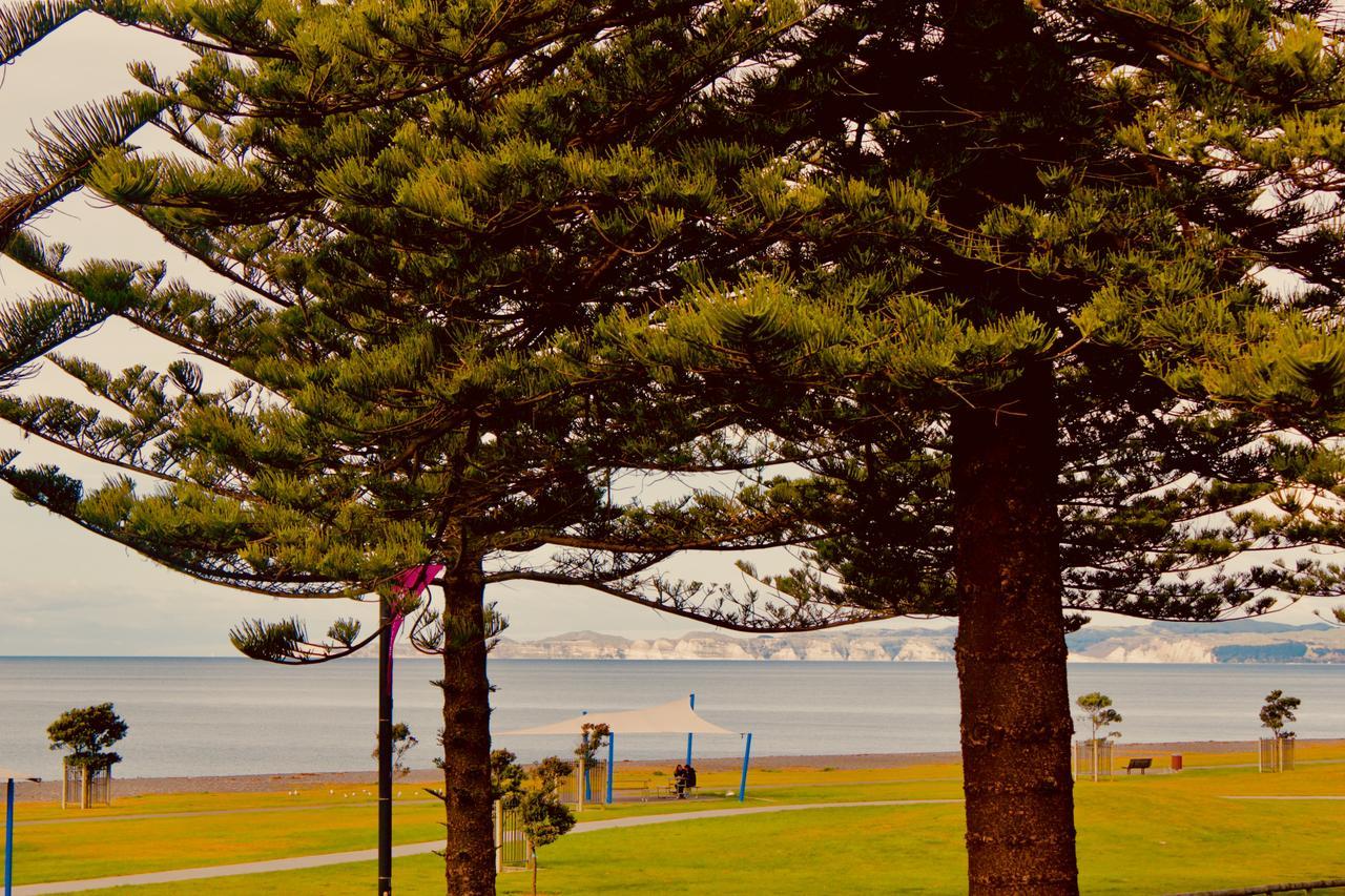 The Nautilus Hotel Napier Luaran gambar View of the bay from the foreshore
